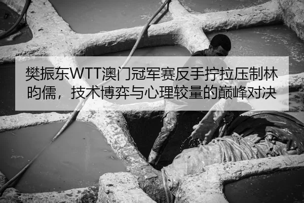 樊振东WTT澳门冠军赛反手拧拉压制林昀儒，技术博弈与心理较量的巅峰对决